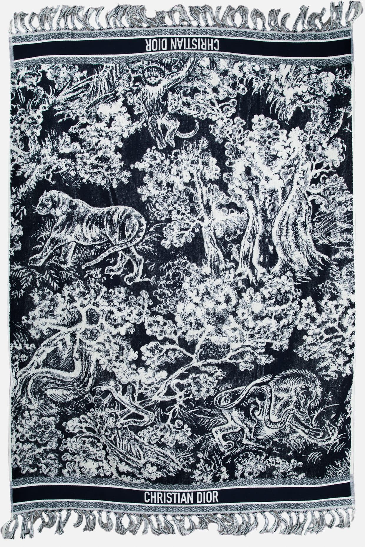 Vignette 2